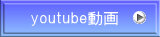 youtube動画